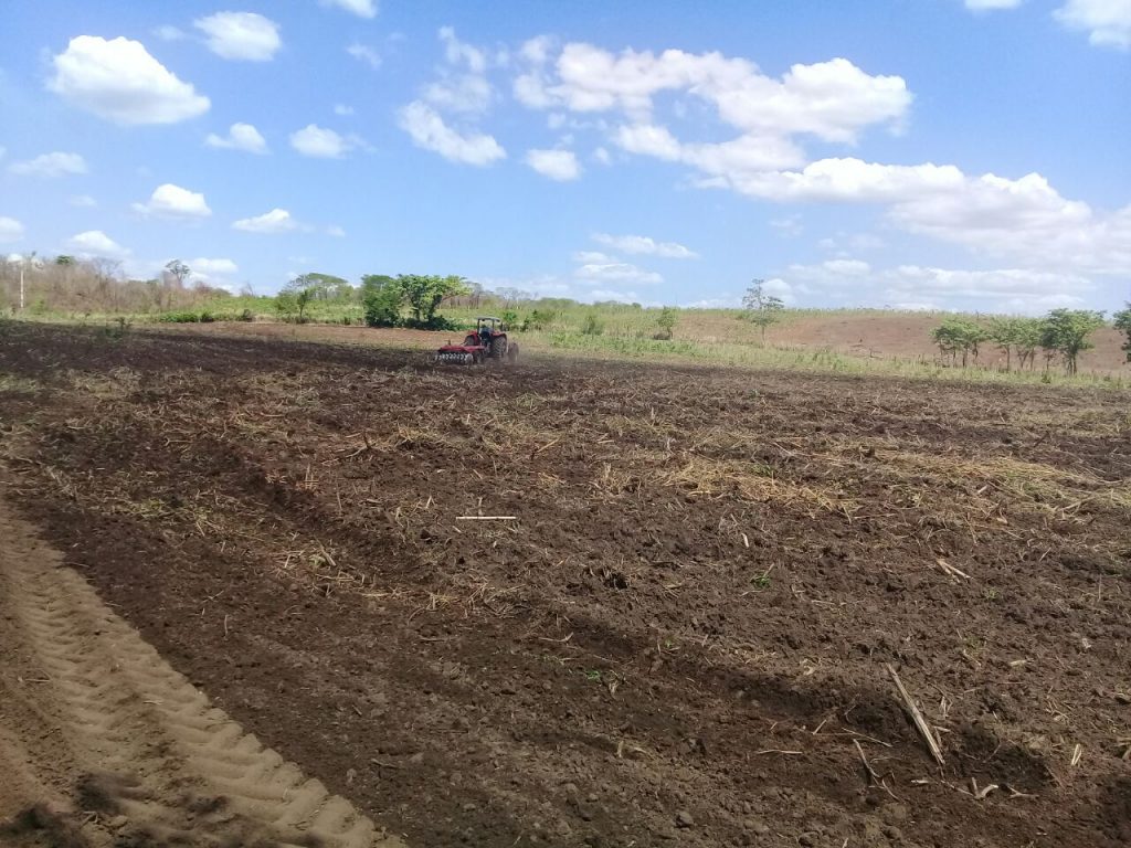 Prefeitura de Água Branca presta serviços juntos aos pequenos agricultores Prefeitura de Água Branca presta serviços juntos aos pequenos agricultores