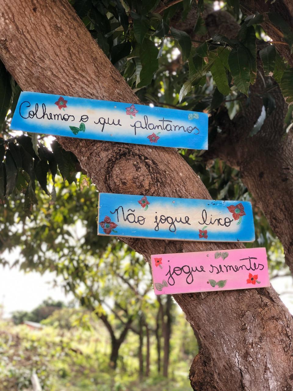 Prefeitura de Água Branca promove ação em comemoração ao Dia Mundial do Meio Ambiente